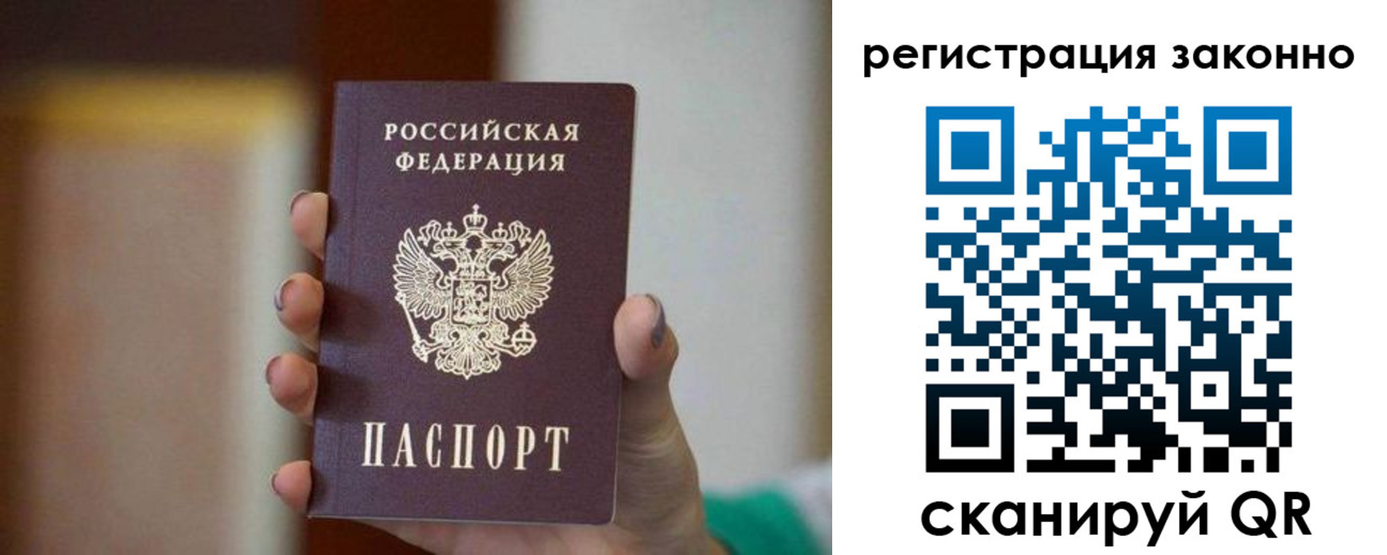 прописка паспорт в Александровске